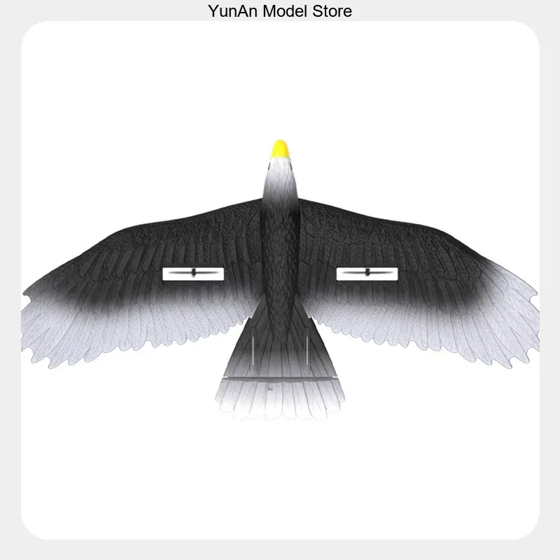 Rc Glider Foam Wing - BM17 3CH เครื่องบินบังคับวิทยุแบบปีกตรึง ทำจากโฟม EPP รูปทรงนกอินทรี